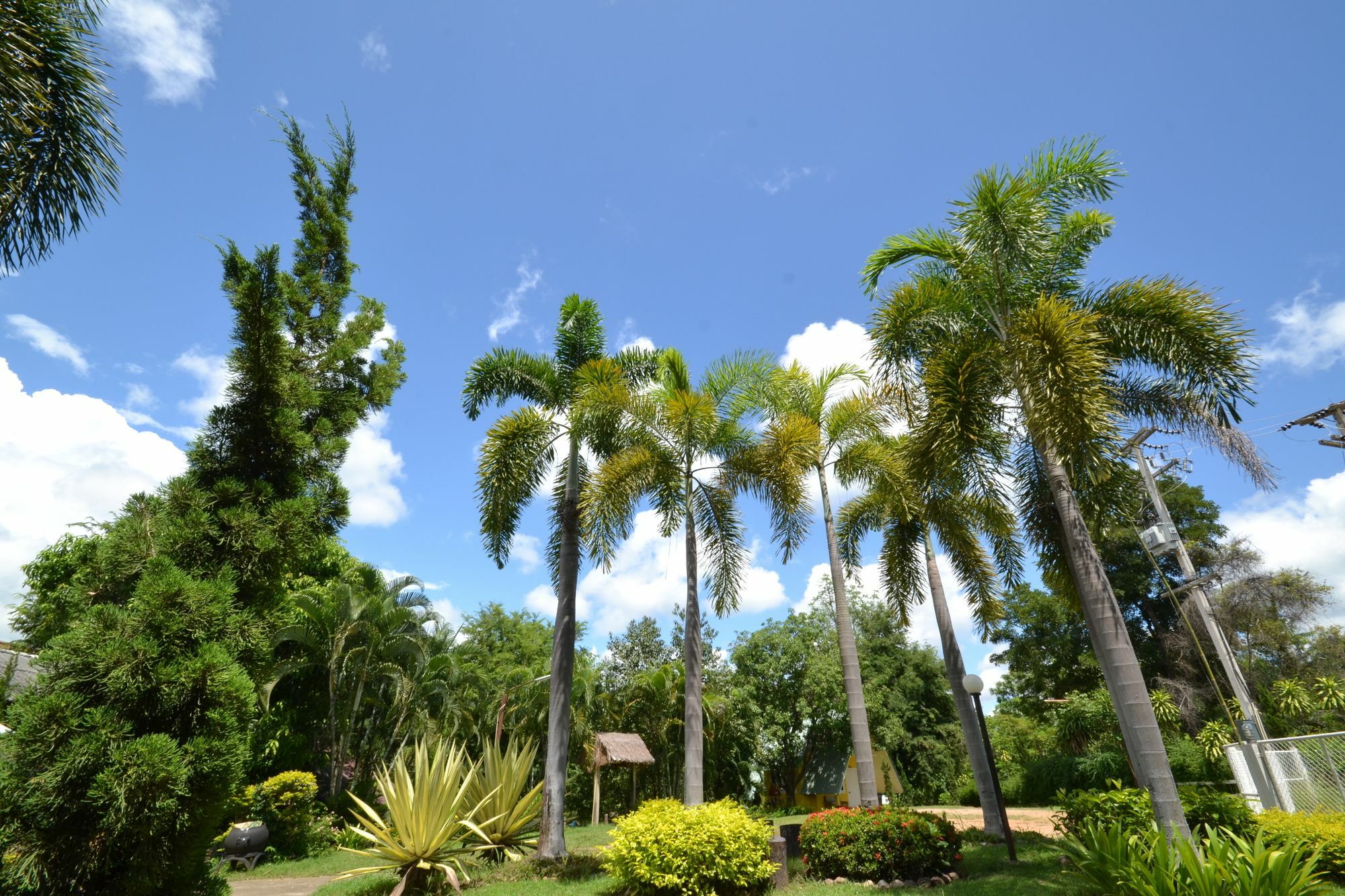 Touch Star Resort - Doi Inthanon Chom Thong Exterior photo